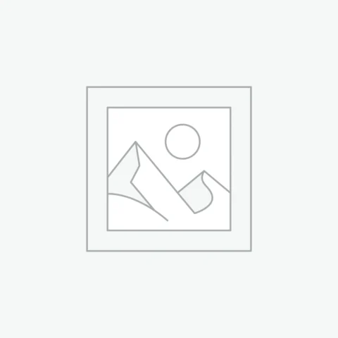 DEOS Desodorante Interno